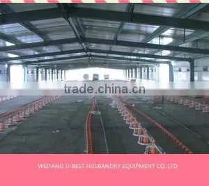 Hot Sale Agricultural Automatic Sheed Poultry Equipment thumbnail-4
