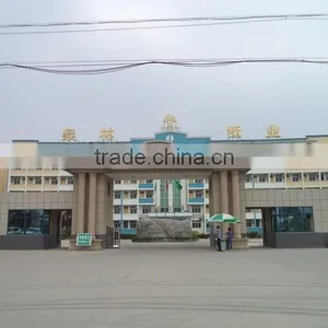 Shandong Tranlin Paper Co., Ltd. company overview - view 2 thumbnail