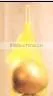 PE Fruit Agriculture Net thumbnail-1