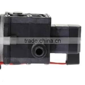Hot Sale Car Wash Micro Diaphragm High Pressure Water Pump With Automatic Switch thumbnail-6