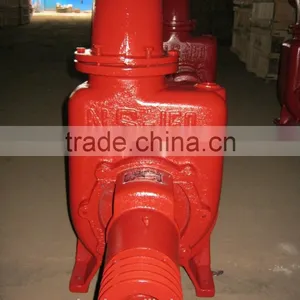 10HP NS 150 Water Pump for Irrigation thumbnail-1