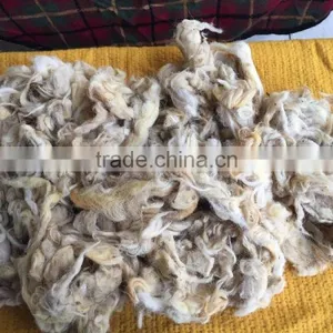 Sheep Wool / Raw Wool / Animal Hair ( Washed ) thumbnail-2
