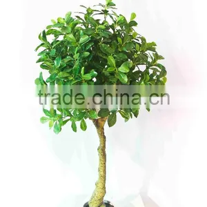 Artificial Home Decoration Bonsais thumbnail-1