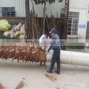 SJ2017200010 Hot Sale Fake Plastic Washington Palm Tree for Outdoor thumbnail-3