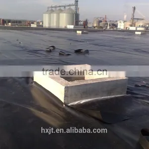 High Quality Seepage Proofing Waterproofing Geomembrane Price thumbnail-3