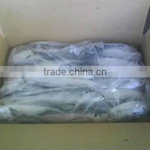 Fresh Frozen Horse Mackerel Fish From Alo Seafood Co., thumbnail-4