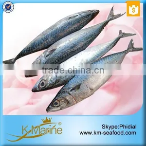 Hot Sale Competitive Prices Land Frozen Mackerel Fish Benefits thumbnail-2