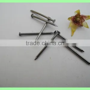 Wire Nails in 1kg Box thumbnail-4
