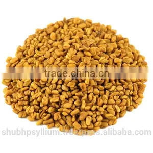 Fenugreek Seed Whole thumbnail-1