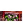 Led Indoor Display Full Colour thumbnail-1