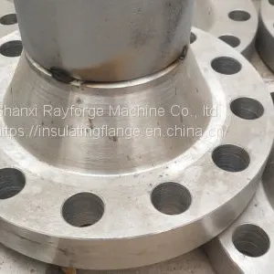 Forging Flange thumbnail-2