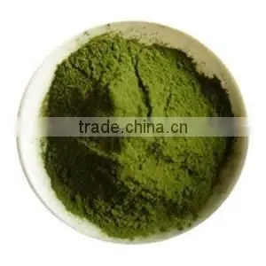Organic Wheat Grass Powder Supply thumbnail-1