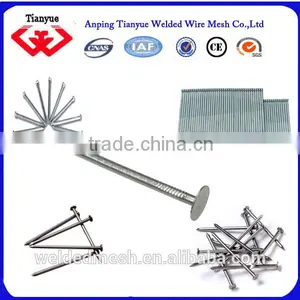 Hot Sale Kinds of Common Nails thumbnail-4