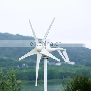 Small Wind Turbine Generator 200W 400W 800W 3/5 Blade Windmill 12V 24V 48V Wind Power Generation thumbnail-4