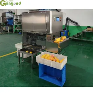 Intelligent Fruit & Vegetable Peeler Machine High-Efficient Mango Peeling Machine thumbnail-1