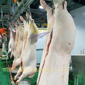 Slaughterhouse Machine Swine Abattoir Machinery Hog Butcher Equipment Pork Processing ISO9001 Pig Slaughter Line Equipment thumbnail-5