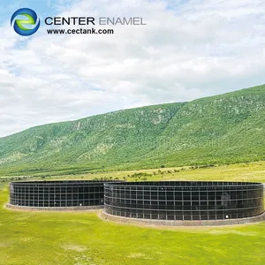 China Professional Supplier Round Anaerobic Digestion Biogas Tanks thumbnail-4