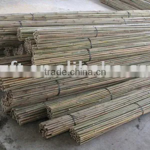 Bamboo Pole thumbnail-1