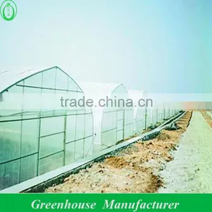 Low Tunnel Greenhouse For Blueberry, Strawberry Quality Choice thumbnail-1