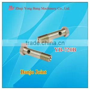 Hydraulic Banjo Fitting/hydraulic Connectors/hydraulic Hose Ends thumbnail-1