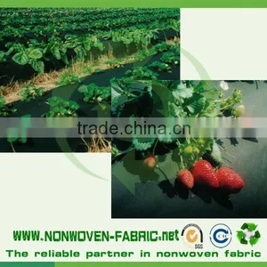 UV Treated Non Woven Polypropylene Fabric For Landscape,Green House thumbnail-1