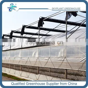 PE Film Plastic Horticultural Green House thumbnail-1