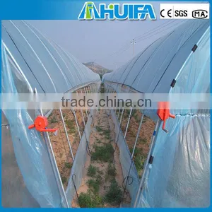 Polycarbonate Roof Sheet Greenhouse thumbnail-3