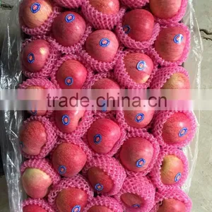 Export Qinguan Apple Company thumbnail-6