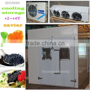 New Cooling Room for Caviar With Temperature +2~+4 Degree C thumbnail-1