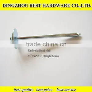 Galvanized Umbrella Head Twisted Roofing Nail thumbnail-4