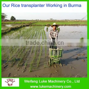 China Rice Transplanter Machine Price thumbnail-6