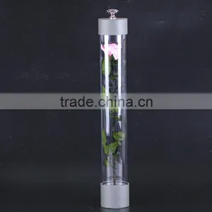 2016 Yiwu Aimee Wholesale Fresh Colorful Preserved Flower(AM-PF08) thumbnail-2