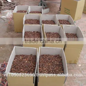 VIETNAM STAR ANISEED- Vilaconic.export15(@)gmail.com thumbnail-3