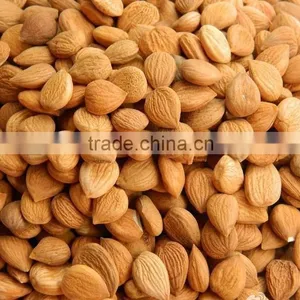 HPS Bitter Apricot Kernels / Sweet Almond thumbnail-1