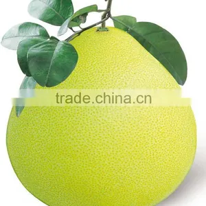 Fresh Guanxi Honey Pomelo thumbnail-1