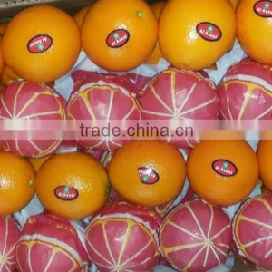 Forwell Oranges From Egypt thumbnail-4