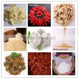 Garlic Chili Onion Ginger Factory Supplier Wholesale Sell Spices thumbnail-1