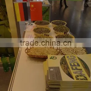 Wholesale Chinese White Pumpkin Seeds With High Quality thumbnail-6