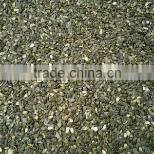 Organic Pumpkin Seeds Kernels Grown Without Shell A thumbnail-5