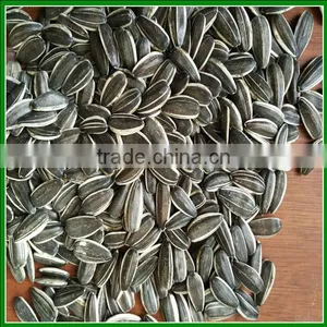 Bulk 5009 Raw Or Roasted Sunflower Seeds With Great Taste For Human Eating thumbnail-1