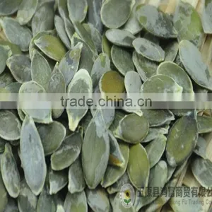 Chinese Pumpkin Kernels Grow Without Shell Grade AA for Sell thumbnail-3