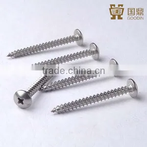 Stainless Steel Pan Head Selftapping Screws Ss304 Ss316 thumbnail-1