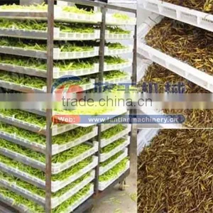Guangzhou Tea Leaf Heat Pump Dryer/onion Cabinet Drier thumbnail-2