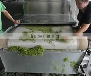 Small Fruit Drying Machine,drying Machine for Vegetable/ Fruits,industrial Fruit Drying Machine With Cheapest Price thumbnail-6