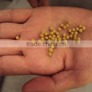 Floating Fish Feed Machine 1000kg/hour thumbnail-2