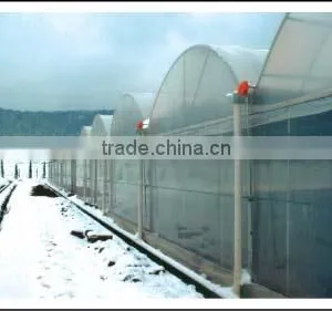 10 Years Warranty Polycarbonate Hollow Sheet for Greenhouse thumbnail-1