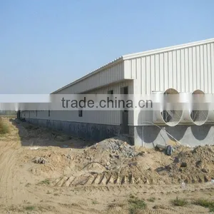 Automatic Modern Chicken Farm for Poultry House thumbnail-1