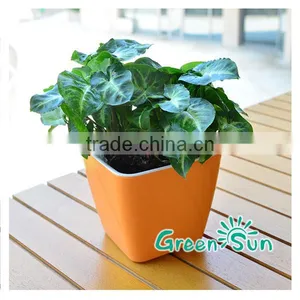 Smart Hydro Grow Pots Hydro System for Flower Planter Pot thumbnail-1