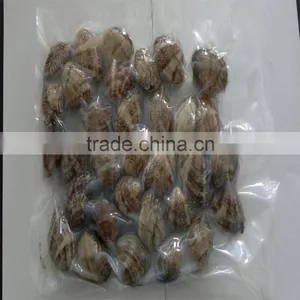 High Quality Vacum Packed Short Necked Clam thumbnail-4