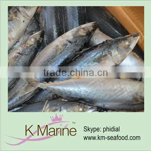 Pacific Mackerel Whole Round Supply thumbnail-1